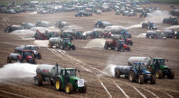 Granjeros tiran leche en un campo de cultivo en Ciney, al sur de Blgica  EFE