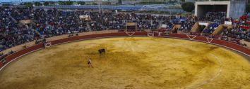 Festejo en la plaza de toros de Mstoles